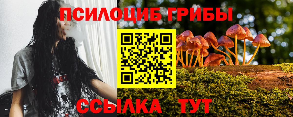 Большой Камень  Псилоцибиновые грибы прущие грибы  Вход с VPN 
